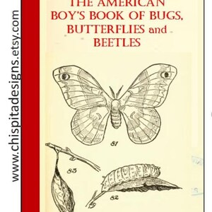 Vintage Insect Ebook: The American Boys&#39; Book of Bugs (1915) (PDF)