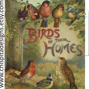 Ebook antico sugli uccelli nelle loro case. Libro stampabile di racconti di animali per bambini VTG. Libro digitale di storia naturale per bambini. Ebook sullo stile di vita degli uccelli.