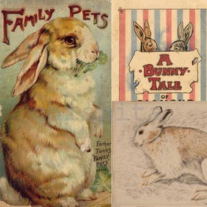 K&ouml;nnte beinhalten: Vintage Illustration mit Kaninchen. Eines zeigt ein braunes und wei&szlig;es Kaninchen aus der "Family Pets"-Serie. Ein weiteres zeigt zwei Kaninchen mit dem Text "A Bunny Tale". Ein drittes zeigt ein liegendes Kaninchen.