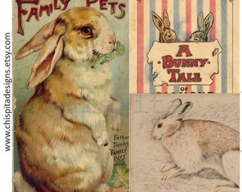 Funny Pets: Easter Bunny Journal Bundle Vintage rabbit stories pdf Cozy Cottagecore ebooks