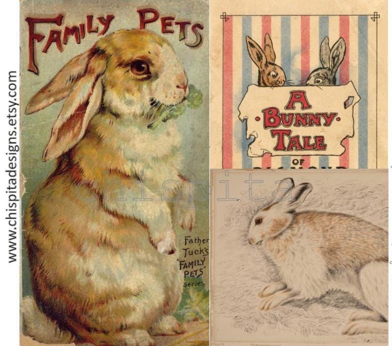K&ouml;nnte beinhalten: Vintage Illustration mit Kaninchen. Eines zeigt ein braunes und wei&szlig;es Kaninchen aus der "Family Pets"-Serie. Ein weiteres zeigt zwei Kaninchen mit dem Text "A Bunny Tale". Ein drittes zeigt ein liegendes Kaninchen.