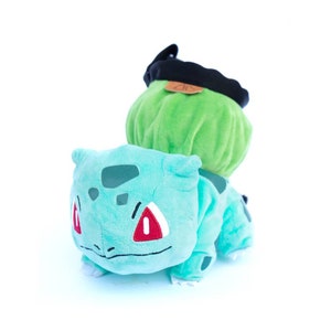 Bulbasaur Pokemon Puppe Chalkbag