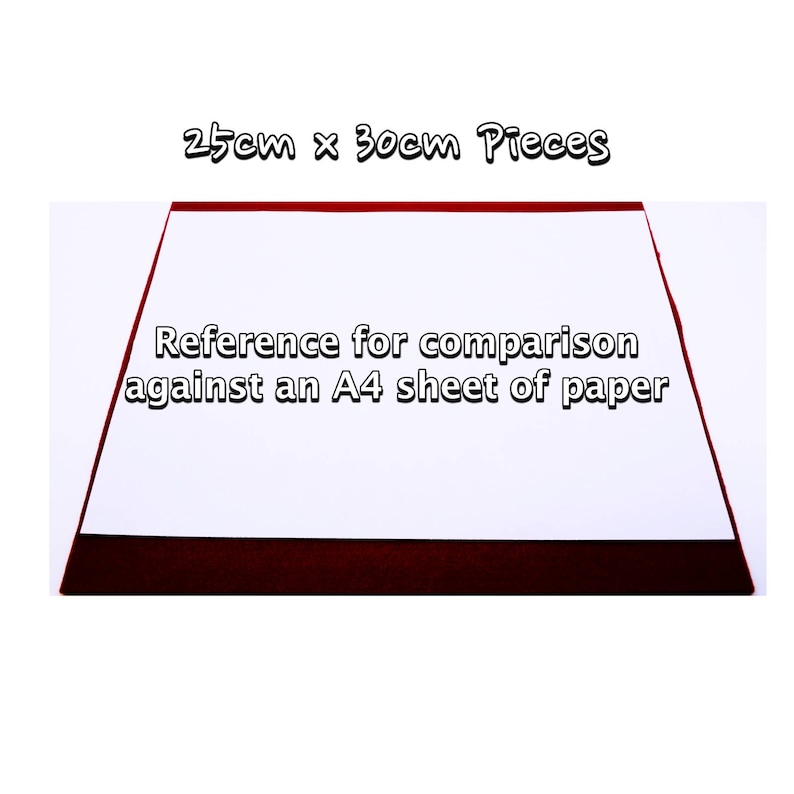 May include: A white sheet of paper with a red border, measuring 25cm x 30cm. The text "Reference for comparison against an A4 sheet of paper" is printed on the paper.