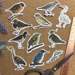 Pack d'autocollants illustrés - Oiseaux de Cornouailles