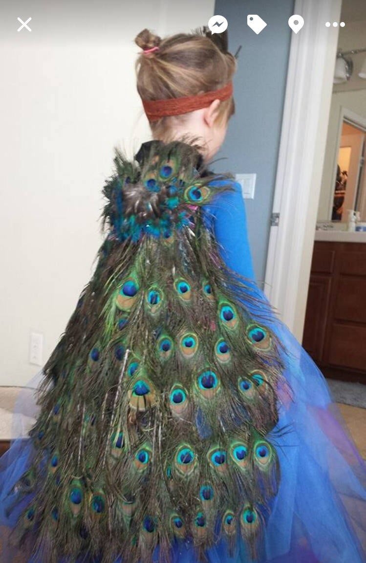 Girls peacock costume, blue feathered Peacock tutu dress, halloween costume