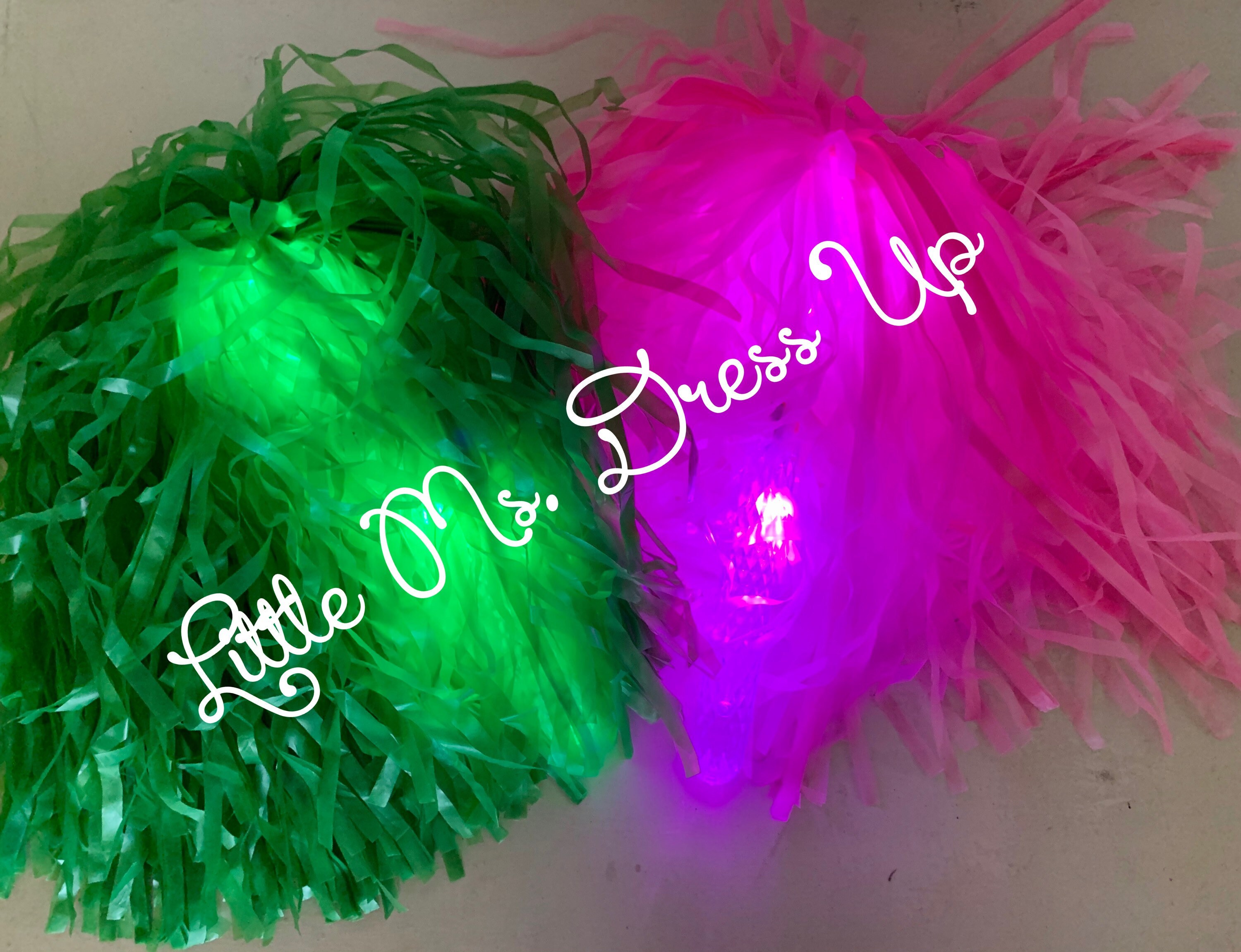 Zombies 2 cheer outfit- Pom Poms