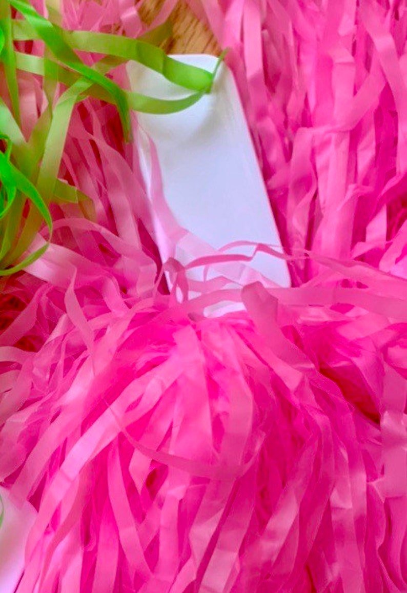 Zombies 2 Cheer Outfit Pom Poms Etsy