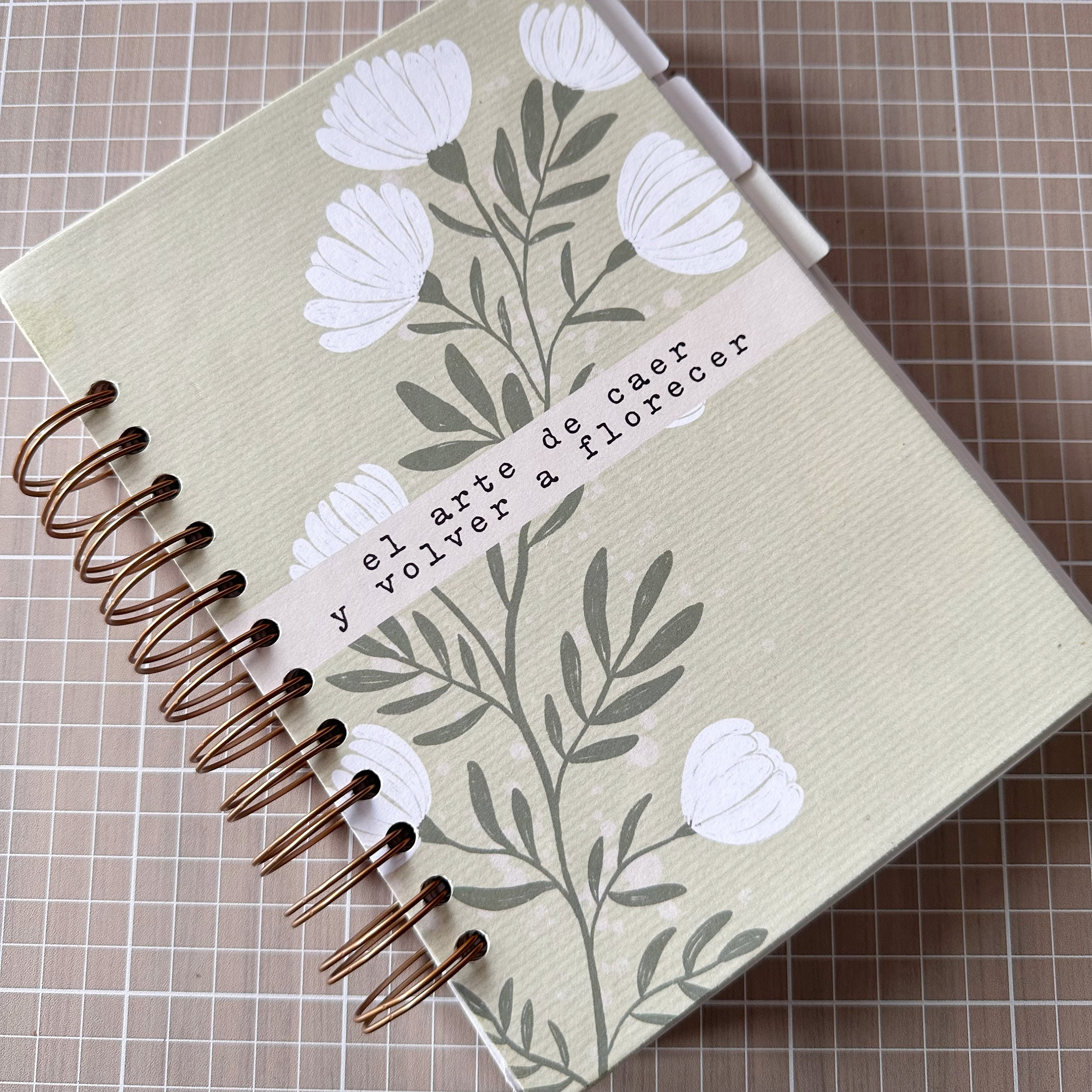 Mis dos diarios de tarot: el Weeks para tiradas diarias y el Midori para  escribir sobre barajas de tarot en general : r/Journaling, image size:3000x3000