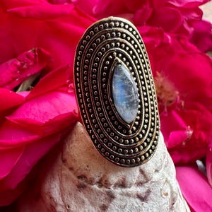 Könnte beinhalten: Ein ovaler Messingring mit einem zentralen, hellblauen Edelstein. Der Ring weist ein detailliertes, gepunktetes Design um den Edelstein und die äußeren Ränder auf. Der Hintergrund ist eine lebendige Darstellung rosa Blüten, die einen auffälligen Kontrast erzeugt.