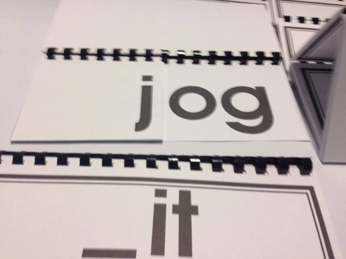 82 Word Family Flip Books - Digital Download PDF 325+ Pages - Etsy