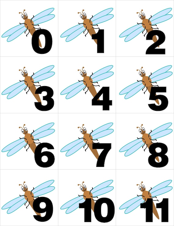 All About Numbers Pocket Chart