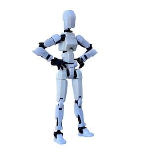 Dummy 13 Female Torso - T13 Action Figure, Titan 13, Dummy 13, Robot, 3D Printed Fully Jointed