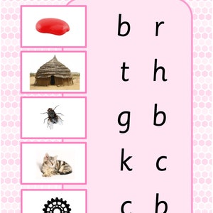 PINK SERIES | Montessori Activity - Beginning  Sound Choice | Educational Material | Homeschooling | PRINTED  ( 12 pages)- Montessori
