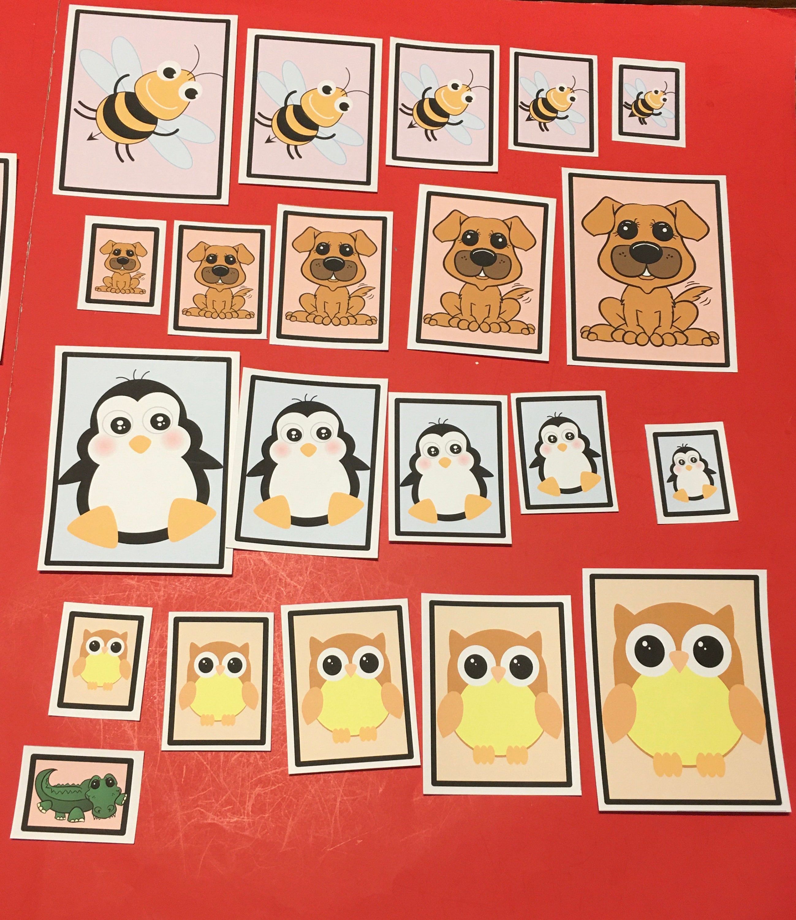 Random Sorting Cards Laminated Sorting Cards - Size Sorting - 40 Cards Set - Etsy