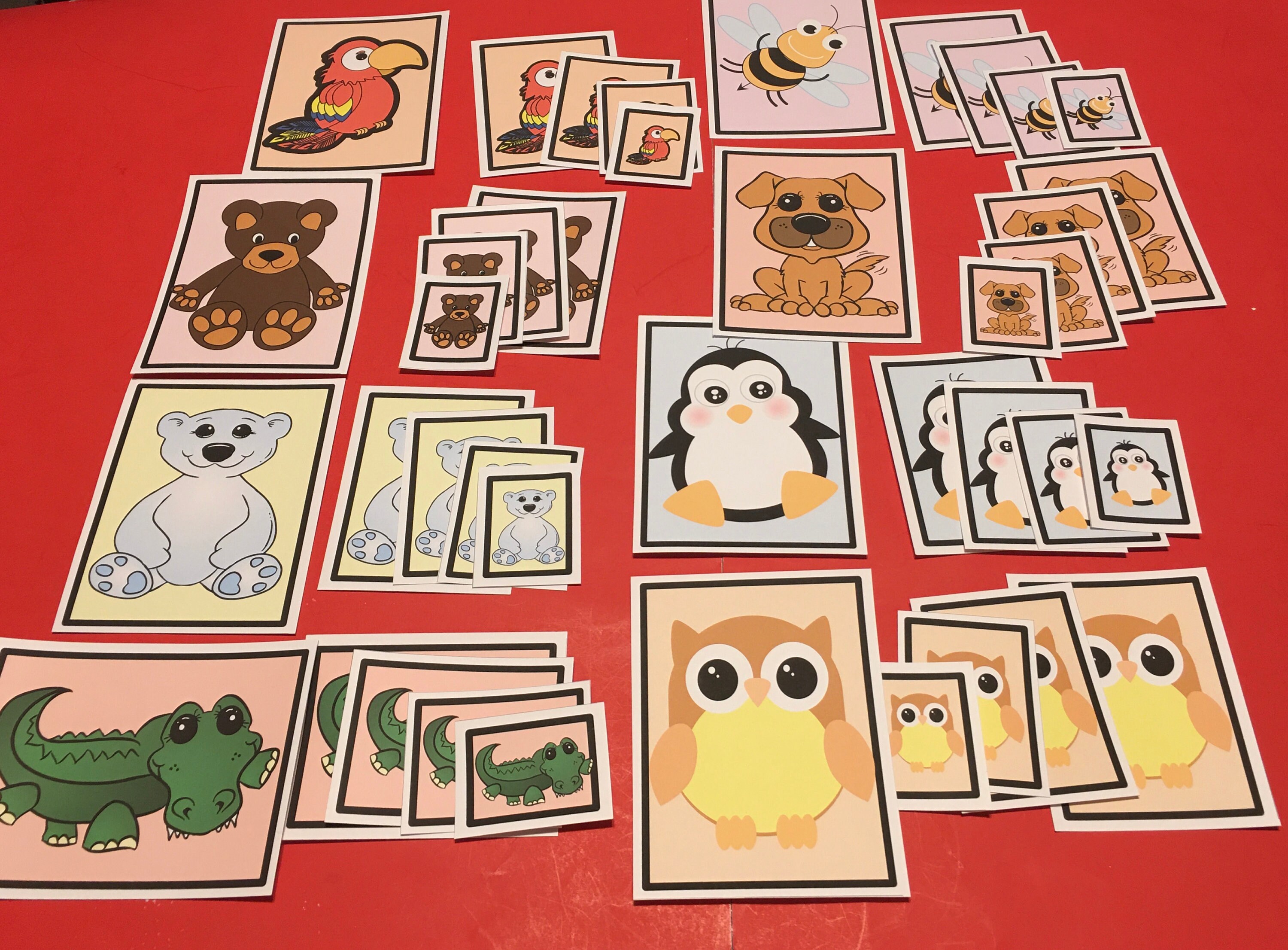 Laminated Sorting Cards - Size Sorting - 40 Cards Set - Etsy