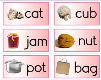 Pink Series 24 CVC Word Families Booklets Montessori Material for ...