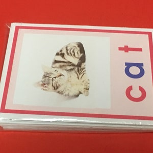 Pink Series Montessori - CVC WORDS & PICTURE - 40 Laminated Card Set - Etsy