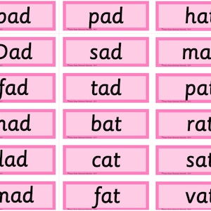 PINK SERIES | Montessori Activity - Word Cards | Educational Material | Homeschooling | PRINTED  (12 pages)- Montessori