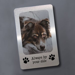 May include: A silver metal photo frame with a picture of a brown dog inside. The frame has a paw print design and the text "Always by your side".