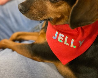 Spersonalizowana kolorowa chustka dla psa, wiązanie na szyję, obroża wsuwana