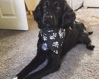 Joe Bandito Handmade Pirate Skulls & Crossbones Chien Pet Cat Bandana