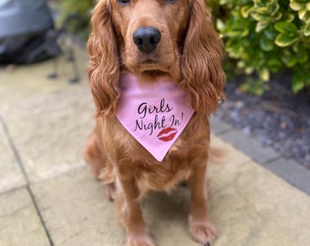 Pink Girls Night In Dog Bandana Slip On Collar