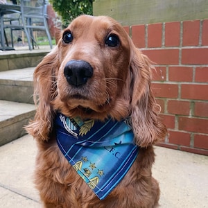 Manchester City Football MUFC Slide on Collar Neckerchief