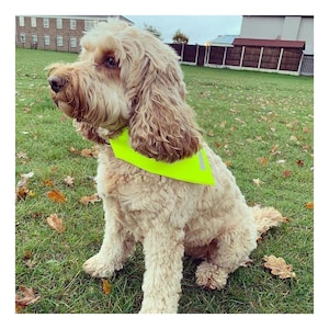 Hi Viz Visibility Dog Yellow Bandana with Reflective Safety Strip
