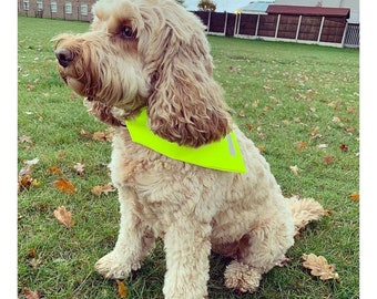Hi Viz Visibility Dog Yellow Bandana with Reflective Safety Strip