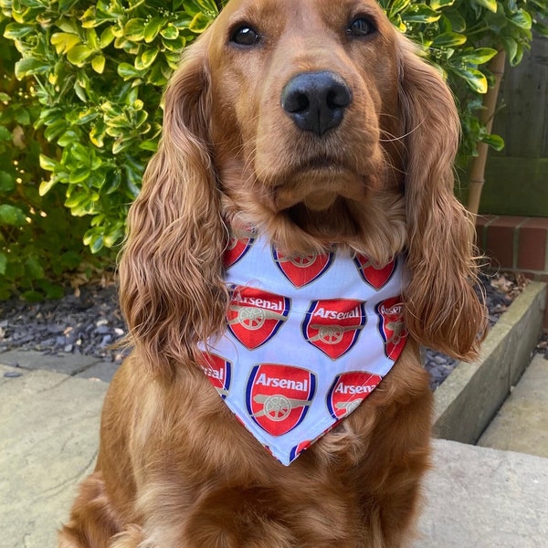 Foulard à enfiler Aresnal Dog Bandana Football AFC