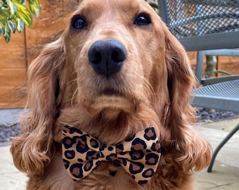 Hondenstrikje met dierenprint en luipaardprint