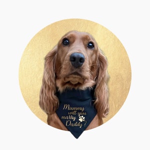 Mummy will you marry Daddy Dog Bandana Slip On Collar Neckerchief