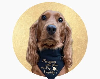 Mummy will you marry Daddy Dog Bandana Slip On Collar Neckerchief