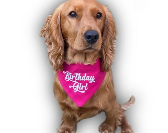 Birthday Girl Boy Dog Bandana Neckerchief Slip On Collar