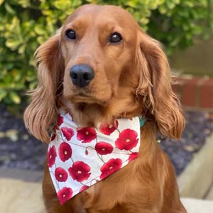 Handmade Dog Scarf Poppy Bandana White with Poppies