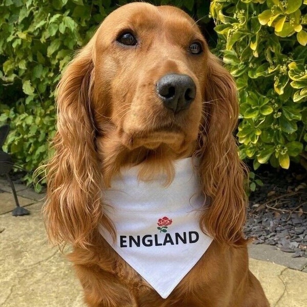 Wales England Scotland Ireland Dog Bandana Ideal for Football Rugby and other Sporting Events