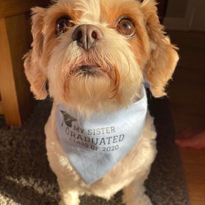 Personalised Graduation Dog Bandana in choice of colours & Styles image 2