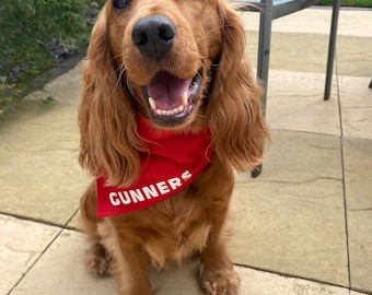 Arsenal Dog Bandana Football AFC Gunners Slide Collar Pañuelo