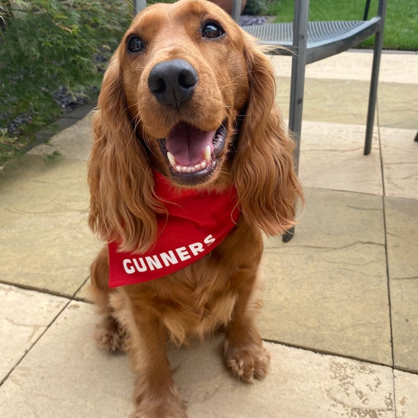 Arsenal Dog Bandana Football AFC Gunners Slide Collar Neckerchief