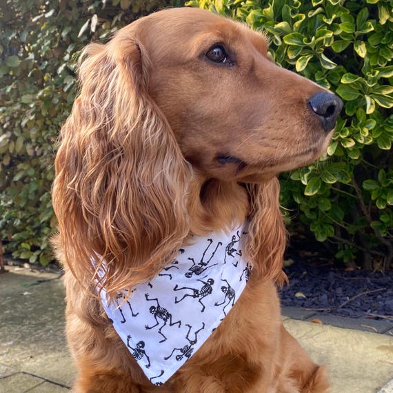 Natalizia Bandana Per Cani A Quadri, Cane Plaid Natalizio Sciarpa Per - Foto 10