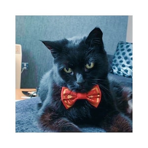 Liverpool FC Football Red Dog Pet Bow Tie Bowtie