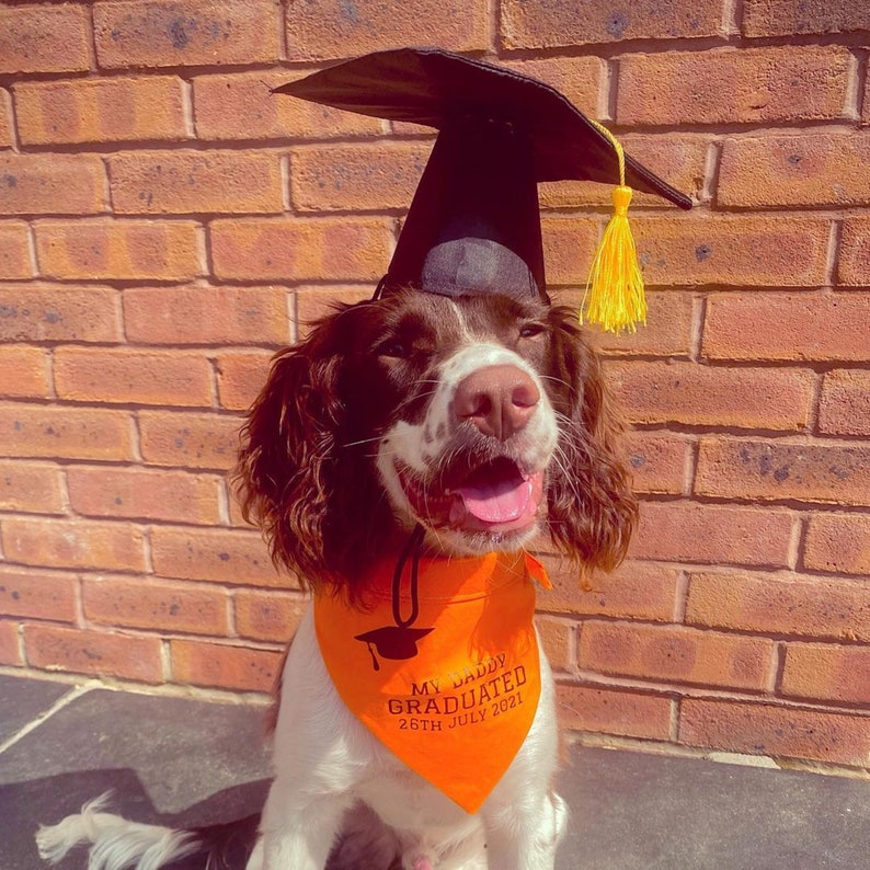 Personalised Graduation Dog Bandana in choice of colours & Styles image 3