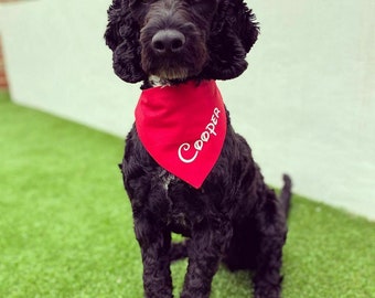 Personalised Dog Bandana Neckercheif With Disney Type font