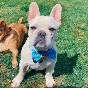 Comic Book Dog Bow Tie