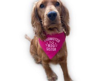 Promoted to Big Brother Sister Dog Bandana Neckerchief Slip On Collar