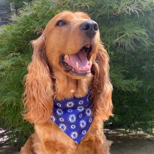 Liten logotyp Chelsea Bandana Fotboll Slide Krage Halsduk