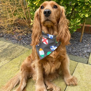 Könnte beinhalten: Ein goldbrauner Cocker Spaniel, der ein Bandana mit einem Muster aus Flaggen verschiedener Länder trägt. Der Hund sitzt auf einer grauen Stein-Terrasse.