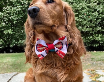 May include: A golden Cocker Spaniel wearing a red, white, and blue bow tie with the Arsenal logo. The dog is outdoors, with green foliage in the background. The bow tie is the focal point, adding a touch of team spirit.