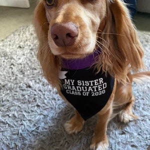 Personalised Graduation Dog Bandana in choice of colours & Styles image 1