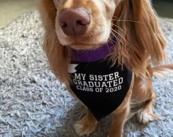 Personlig hundbandana för examen i valfria färger och stilar